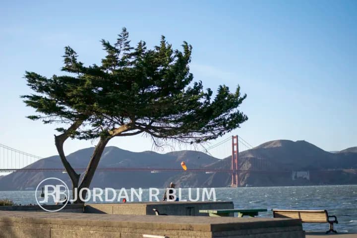 Photograph by Jordan Blum, frame 92