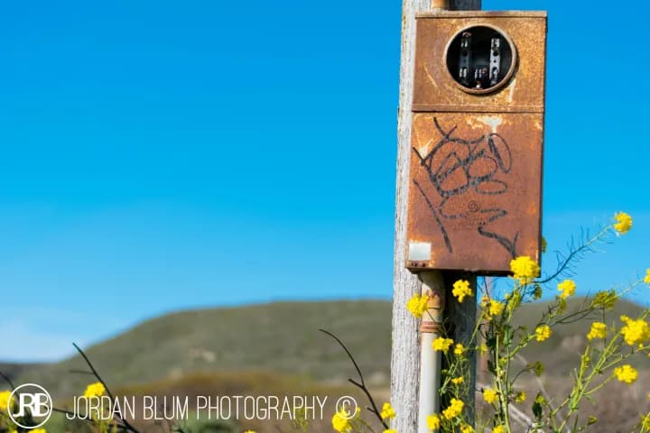 Photograph by Jordan Blum, frame 2